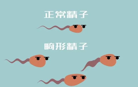 53岁重庆借卵生子成功率有多大，为什么医生都不建议试管婴儿