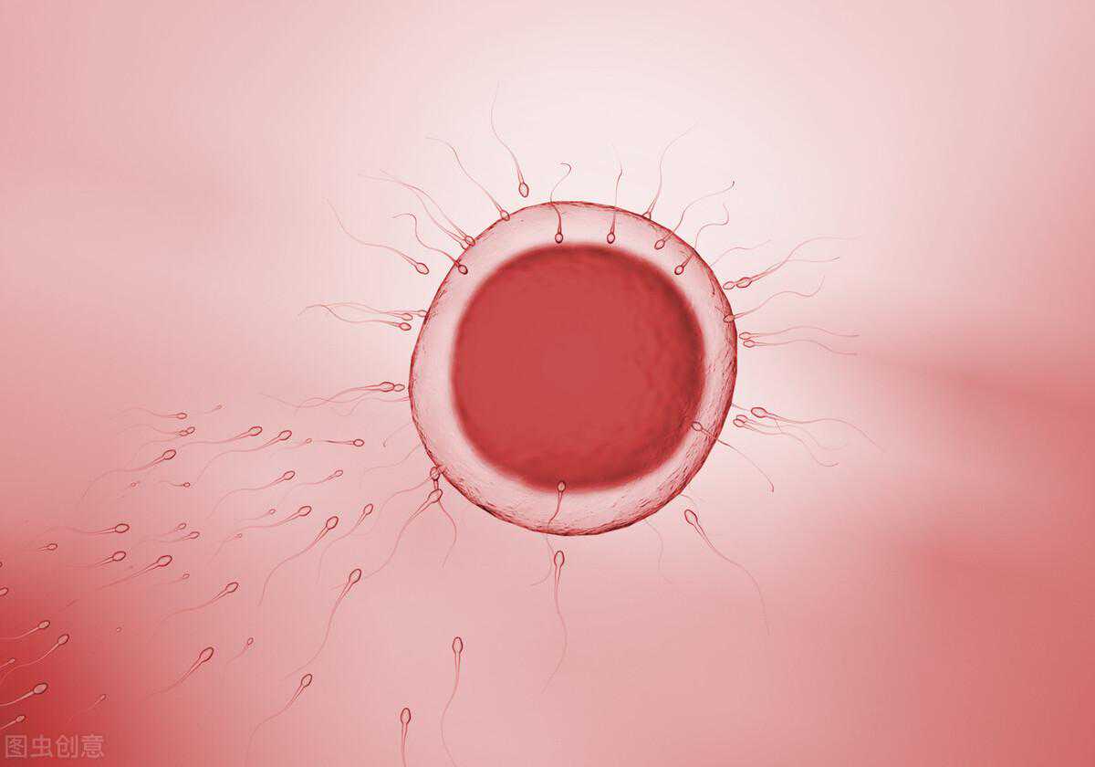 卵泡那么多，为何不怀孕？多囊卵巢综合征到底有哪些危害